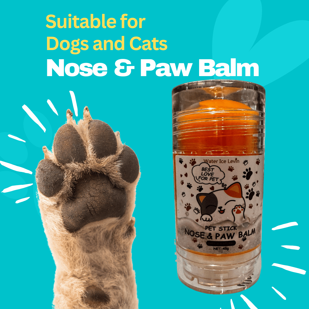 DISTRICT PETS Nose & Paw Balm Soothing Paw & Nose Protection for Dogs and Cats