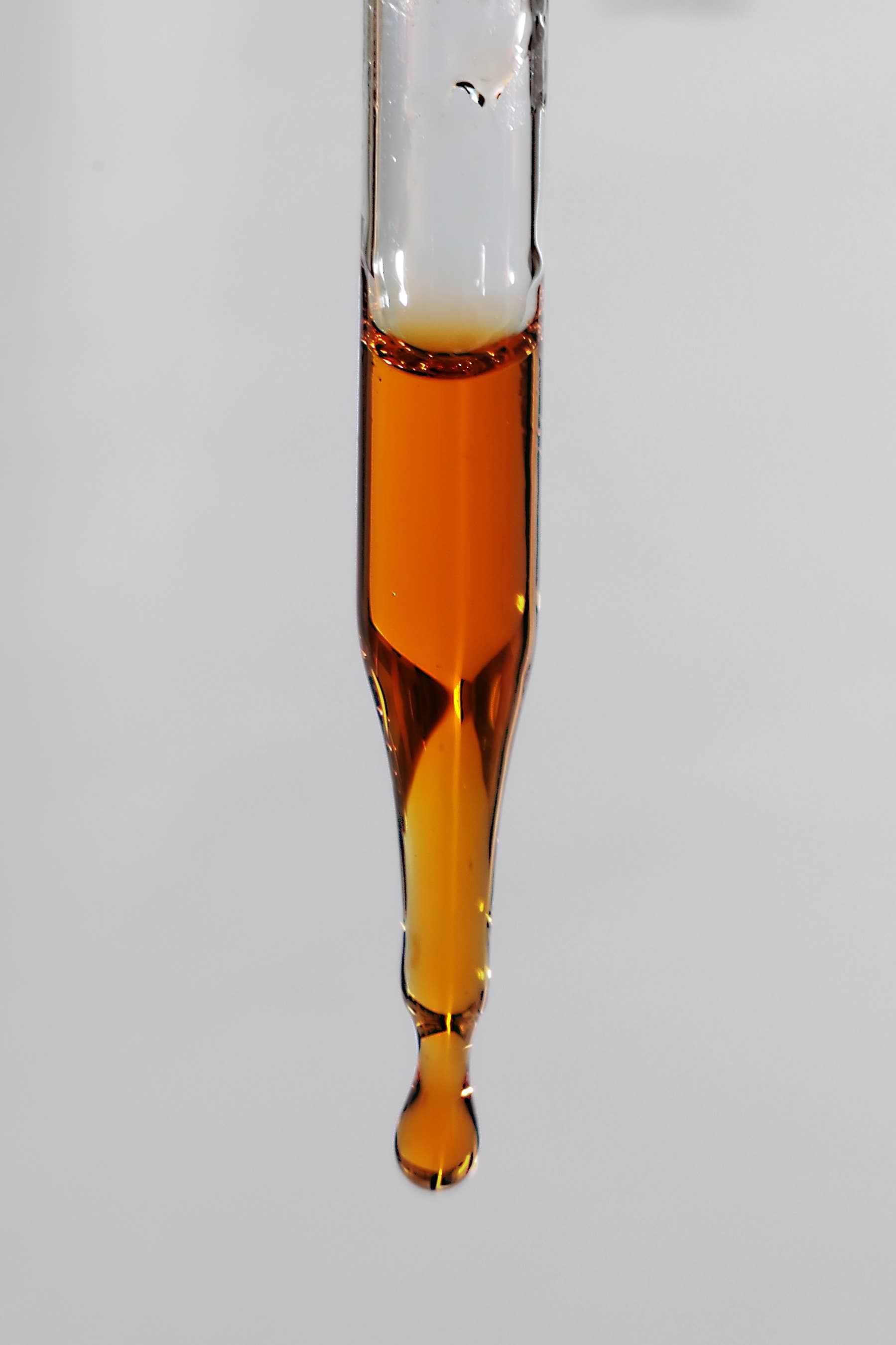 Gracious Minds Night Oil Vitamin Sea Night Oil – Brightening Facial Oil with Vitamin C (30ml)